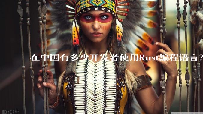 在中国有多少开发者使用Rust编程语言？