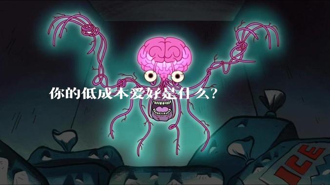 你的低成本爱好是什么？