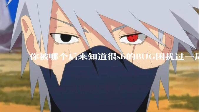 你被哪个后来知道很sb的BUG困扰过一周以上吗？