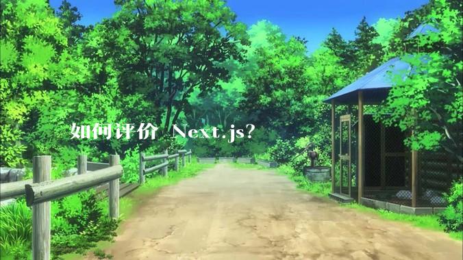 如何评价 Next.js？