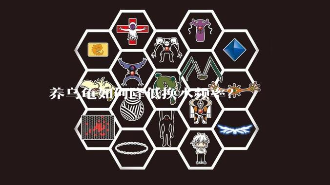 养乌龟如何降低换水频率？