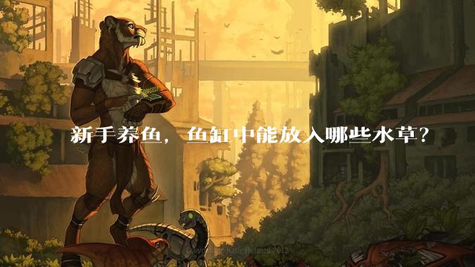 新手养鱼，鱼缸中能放入哪些水草？