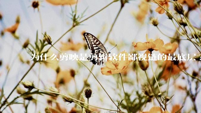 为什么剪映是剪辑软件鄙视链的最底层?