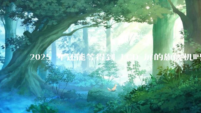 2025 年还能等得到 LCD 屏的旗舰机吗？