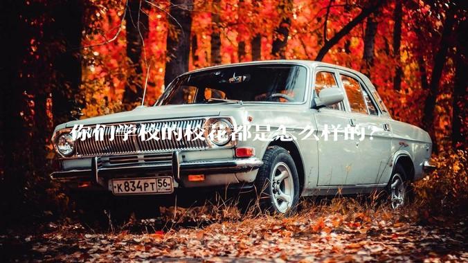 你们学校的校花都是怎么样的？