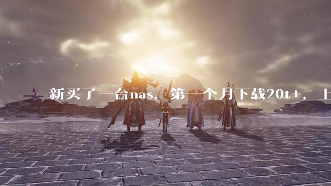 新买了一台nas,第一个月下载20t+,上传5+,不会被网警盯上吧?