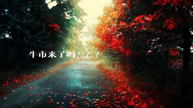 牛市来了吗？？？