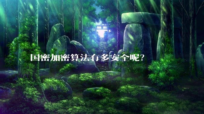 国密加密算法有多安全呢？