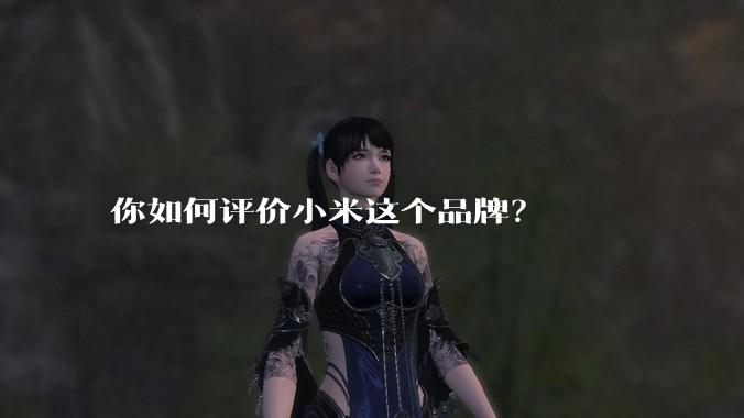 你如何评价小米这个品牌？