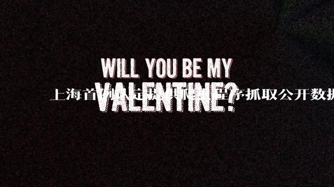 上海首例认定提供爬虫程序抓取公开数据构成提供侵入计算机信息系统程序罪案，该案件有哪些细节值得关注？