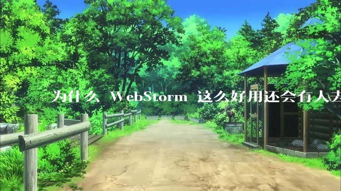 为什么 WebStorm 这么好用还会有人去用 VSCode？