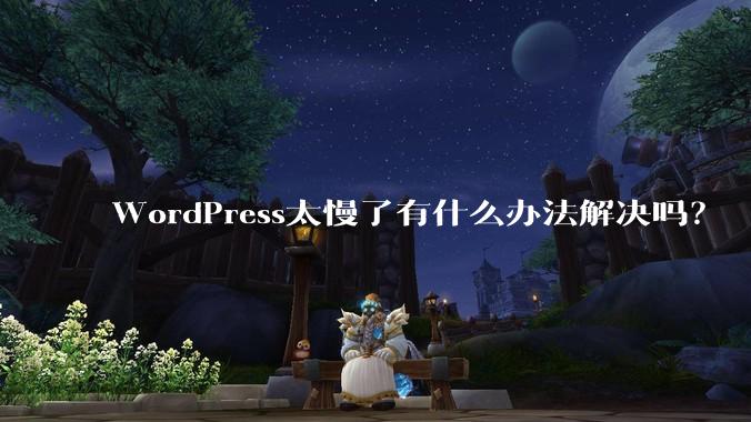 WordPress太慢了有什么办法解决吗？