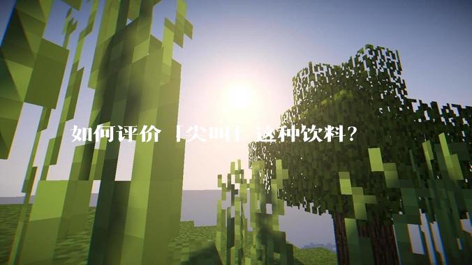 如何评价「尖叫」这种饮料？