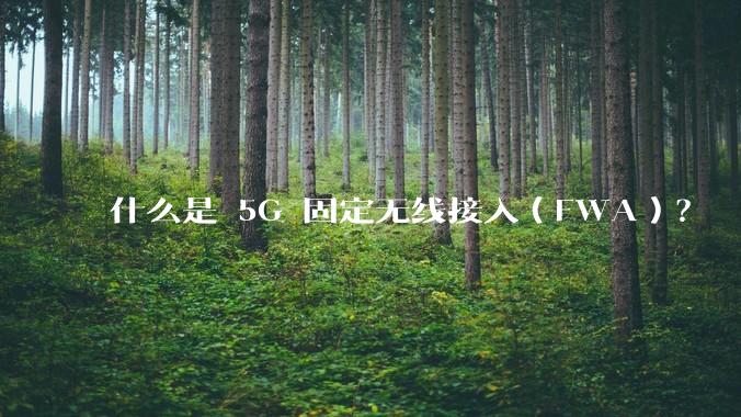 什么是 5G 固定无线接入（FWA）？