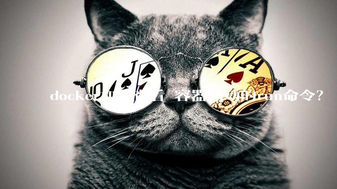 docker如何查看 容器启动的run命令？