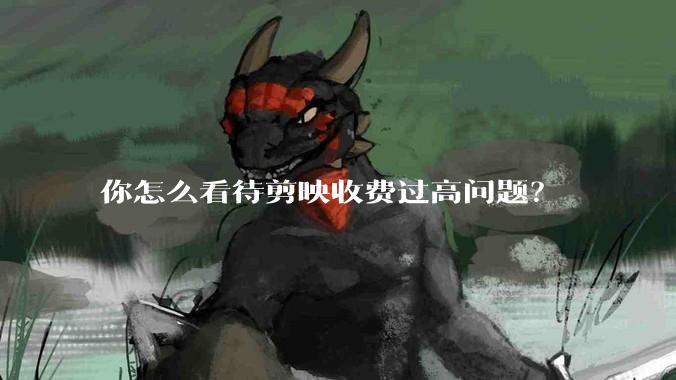你怎么看待剪映收费过高问题？