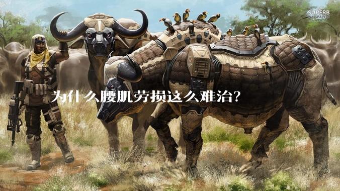 为什么腰肌劳损这么难治？